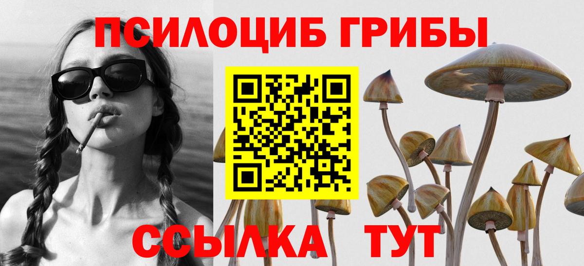 купить  сайты  Галлюциногенные грибы Cubensis  Вход с VPN  Волгоград  Псилоцибиновые грибы MAGIC MUSHROOMS 